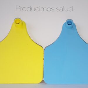 Aretes Maxi x 25 und