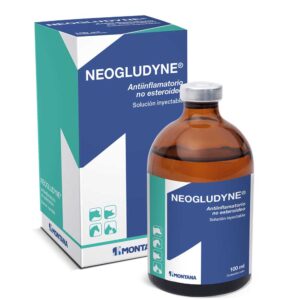 Neogludyne x 250 ml