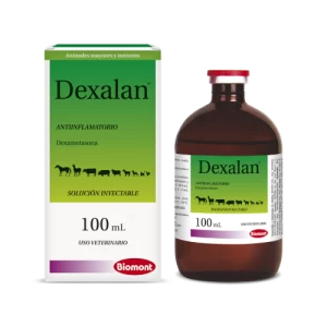 Dexalan x 100 ml