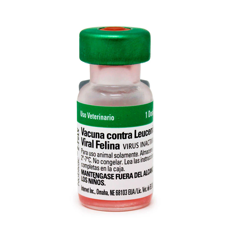 novibac_leucemia_msd_difesa_800x800